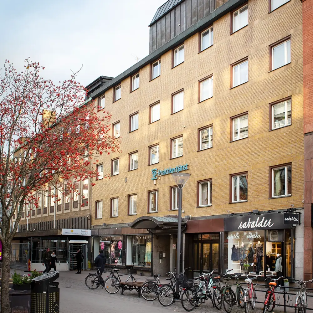 banner-img-Lakarhuset